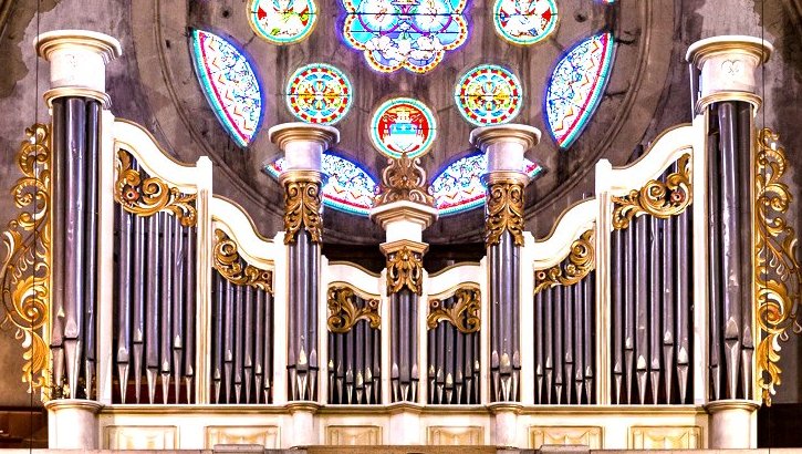 Pascal Leray Organ